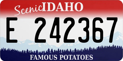 ID license plate E242367
