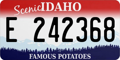 ID license plate E242368