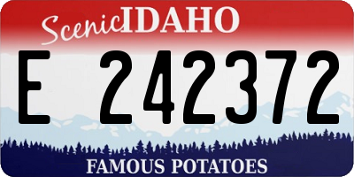 ID license plate E242372