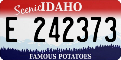 ID license plate E242373