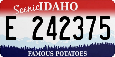 ID license plate E242375