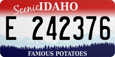 ID license plate E242376