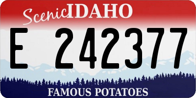 ID license plate E242377