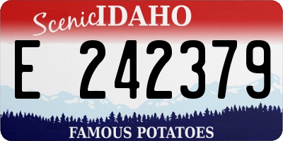 ID license plate E242379