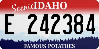 ID license plate E242384