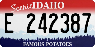 ID license plate E242387