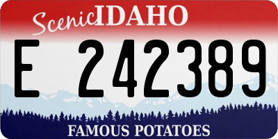 ID license plate E242389