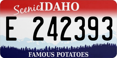 ID license plate E242393