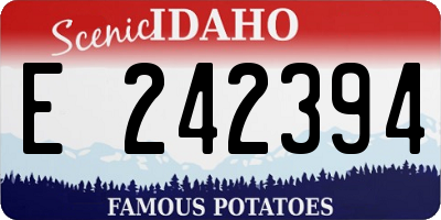 ID license plate E242394