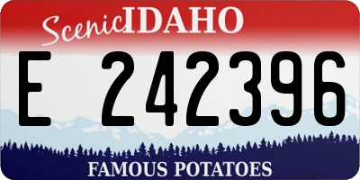 ID license plate E242396