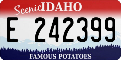 ID license plate E242399