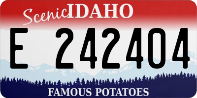 ID license plate E242404