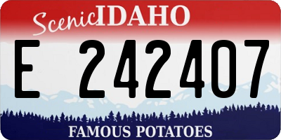ID license plate E242407