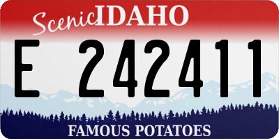 ID license plate E242411