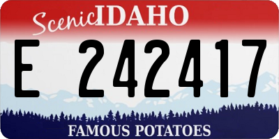 ID license plate E242417