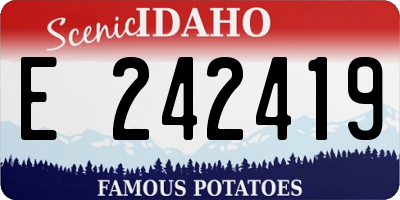 ID license plate E242419