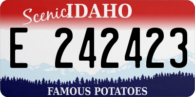 ID license plate E242423