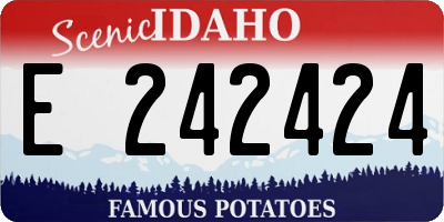 ID license plate E242424