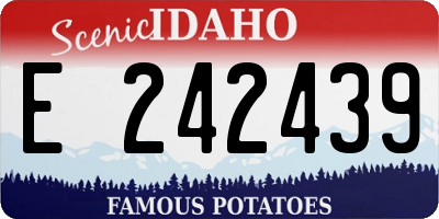ID license plate E242439