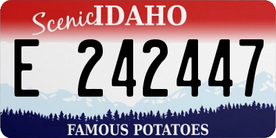 ID license plate E242447
