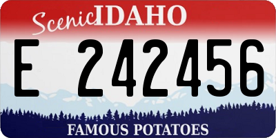 ID license plate E242456