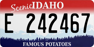 ID license plate E242467