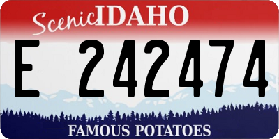 ID license plate E242474