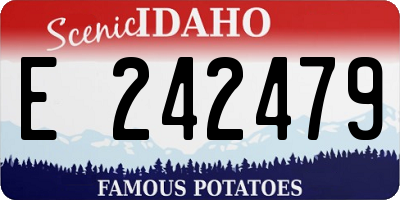ID license plate E242479
