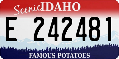 ID license plate E242481