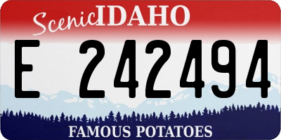 ID license plate E242494