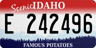 ID license plate E242496