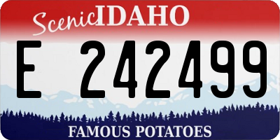 ID license plate E242499