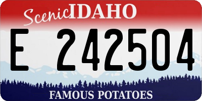 ID license plate E242504