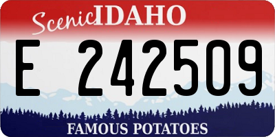 ID license plate E242509