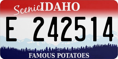 ID license plate E242514