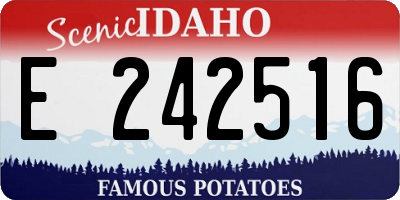 ID license plate E242516