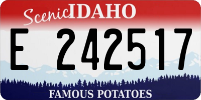 ID license plate E242517