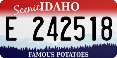 ID license plate E242518