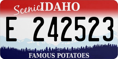 ID license plate E242523