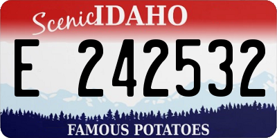 ID license plate E242532