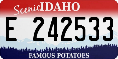 ID license plate E242533