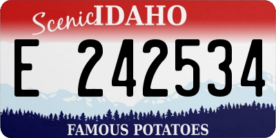 ID license plate E242534