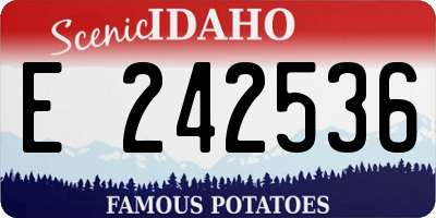 ID license plate E242536