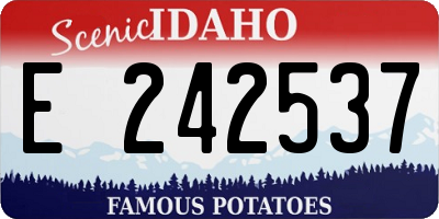 ID license plate E242537