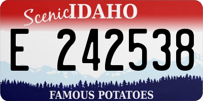 ID license plate E242538