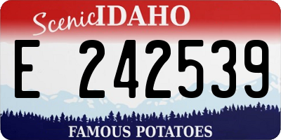 ID license plate E242539