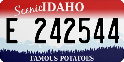 ID license plate E242544