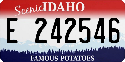 ID license plate E242546