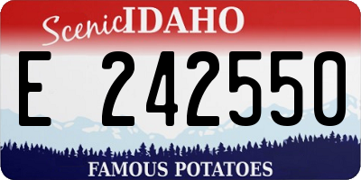 ID license plate E242550