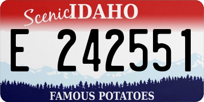 ID license plate E242551
